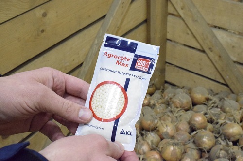 Agrocote Max Succesvol toegepast in de uienteelt