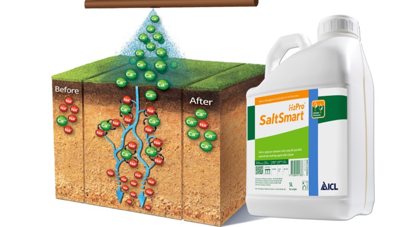 H2Pro SaltSmart... ...löst Natrium-Ionen und spült sie in tiefere Bodenschichten