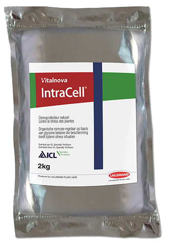IntraCell IntraCell