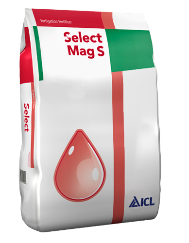 Select Mag S
