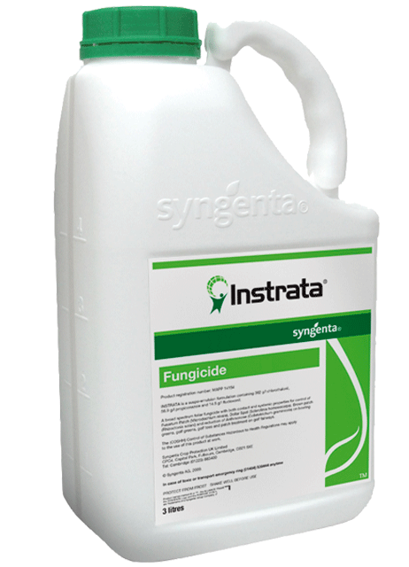 Instrata