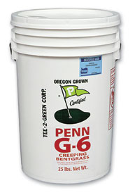 Penn G-6