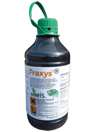 Praxys
