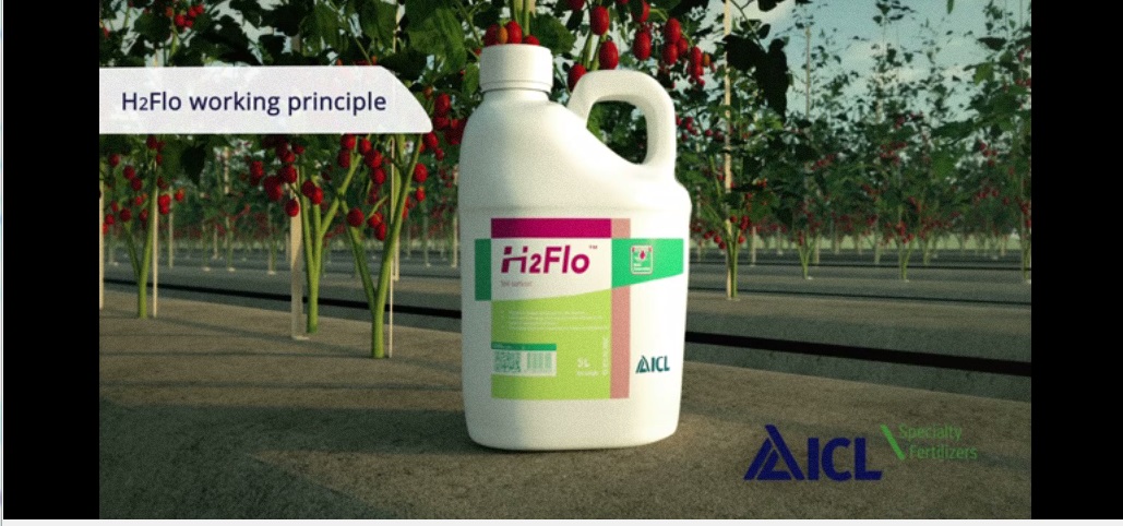 H2Flo by ICL