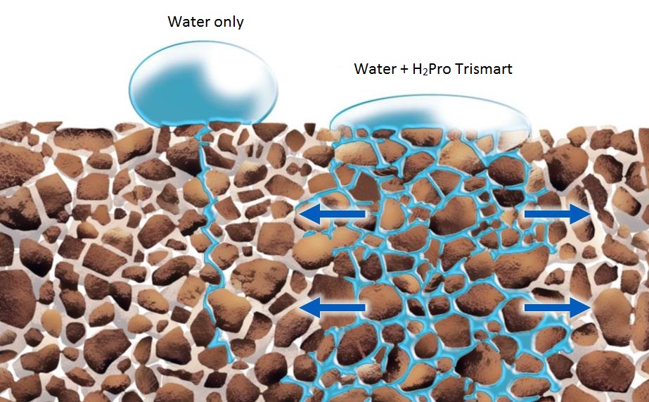 Managing soil moisture with H 2 Pro™ TriSmart | ICL Specialty Fertilizers