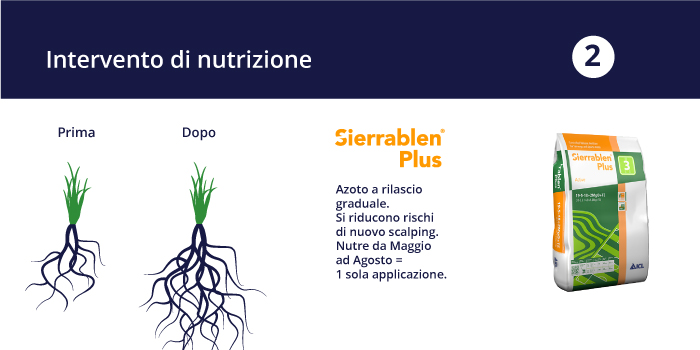 Nutrire, riducendo però il numero di concimazioni ed evitando il rilascio istantaneo di nutrienti