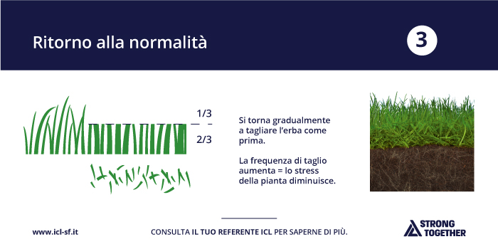 Tornare gradualmente alla normalità