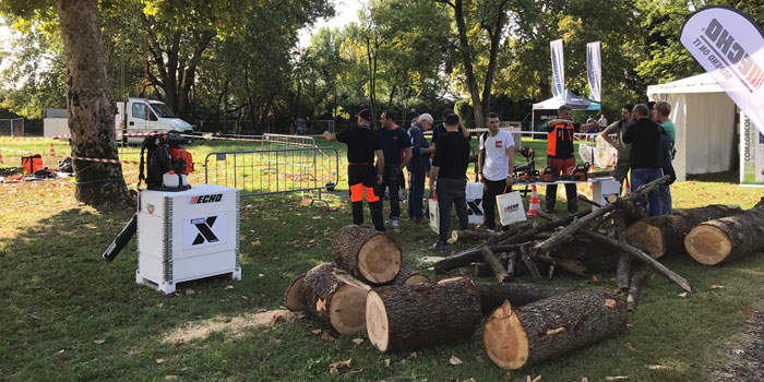 Eventi durante la giornata