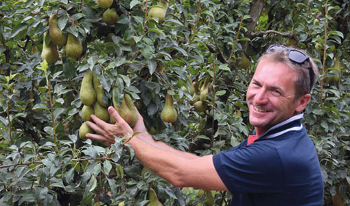 Lauro Simeoni | Agronomo e titolare azienda Simeoni “Sono un agronomo libero professionista e ho anche una mia azienda dove sperimento e formo frutticultori. Per essere credibile devo produrre bene, perciò cerco sempre nuovi prodotti capaci di soddisfare le esigenze nutrizionali dei miei frutteti. Ho scelto alcuni concimi di ICL. Li uso da me e li prescrivo ai miei clienti. Devo dire, con orgoglio, che pure loro notano i miglioramenti quando li usano.”