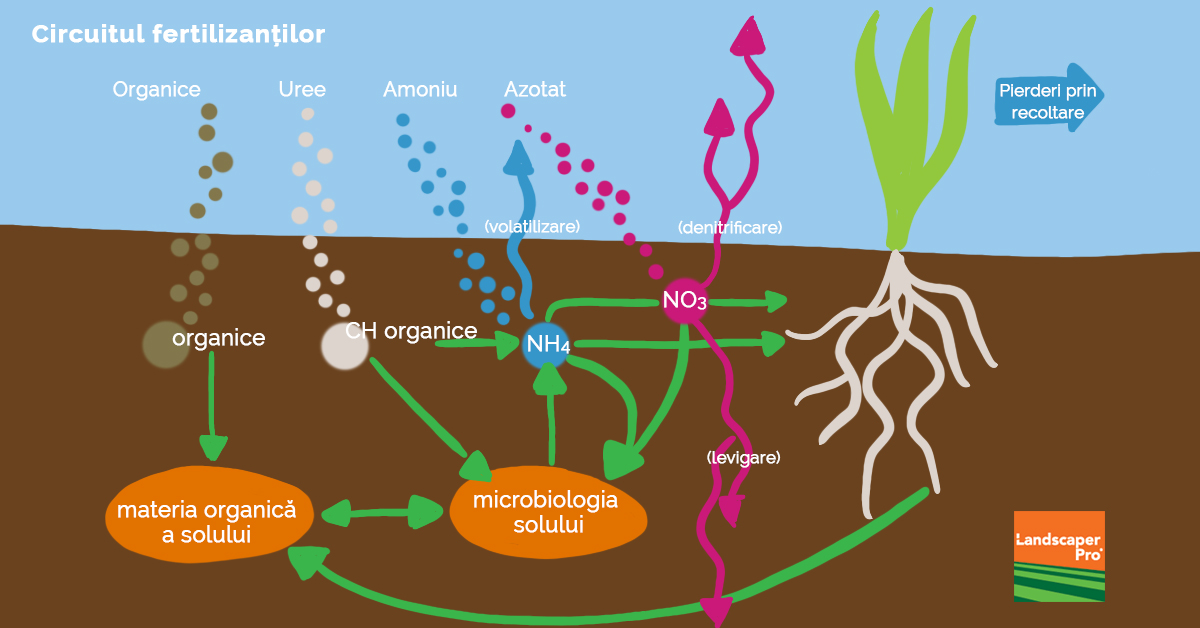 Биологические пища вода воздух. Биологический азот - как источник белка и удобрений.. Биологический фон азот. Источник поступления азота для растений. Азот в растительных остатках.
