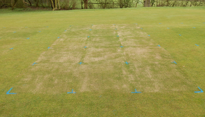 The problem with progress Heavy top dressing immediately after application. (13-04-2016)