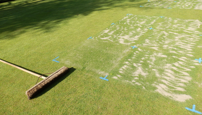 The problem with progress Second application of top dressing. (09-05-2016)