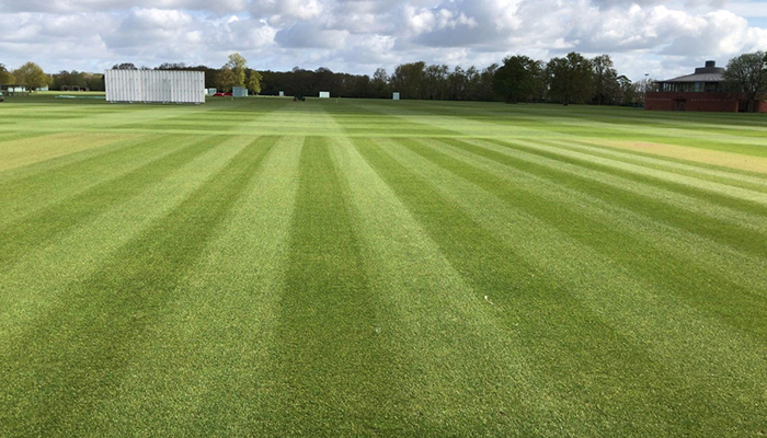Ryder turf pigment launched in UK & Ireland Ryder treated cricket pitch