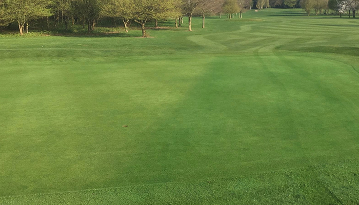 Ryder turf pigment launched in UK & Ireland Ryder treated green