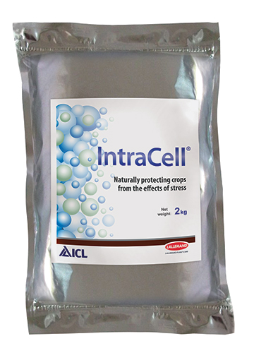 IntraCell IntraCell
