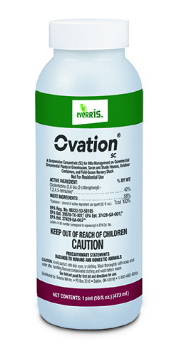 Ovation Ovation SC